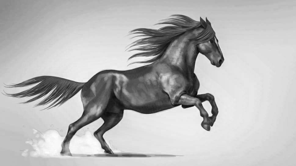 Como desenhar cavalo realista passo a passo - Como desenhar